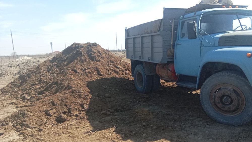 Көн шіріген жылдаған