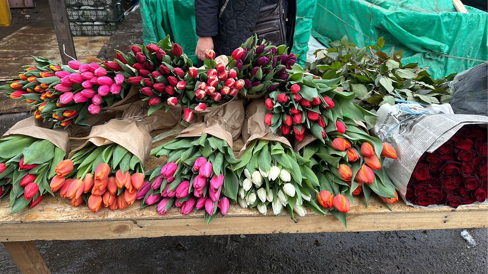 Тюльпаны оптом в Алматы