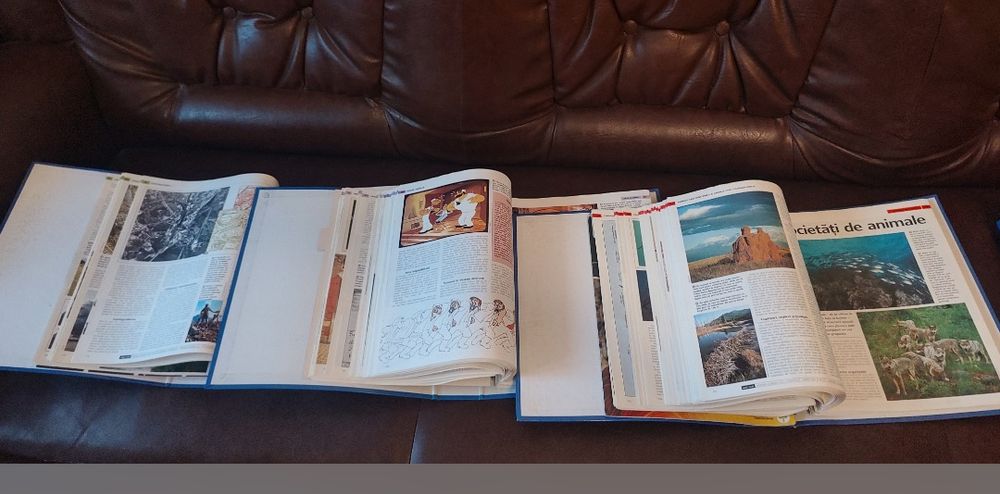 Colecția "Arborele lumii"