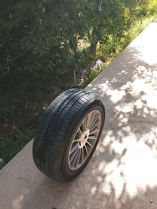 Saka diska 16 razmerda