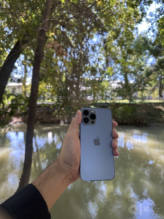iPhone 13 Pro Max