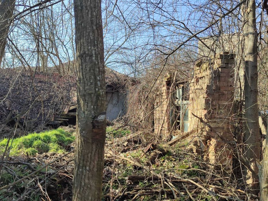 Продава се Парцел в Генерал Тошево - 1403 кв.м за 15 €/кв.м - Снимка #2