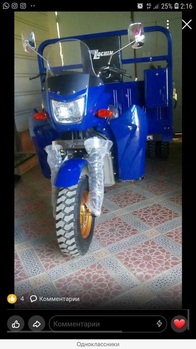 Муравей Лочин  200