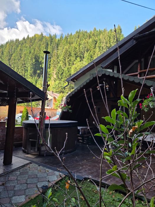 Cabanuta Zumzetul Raului