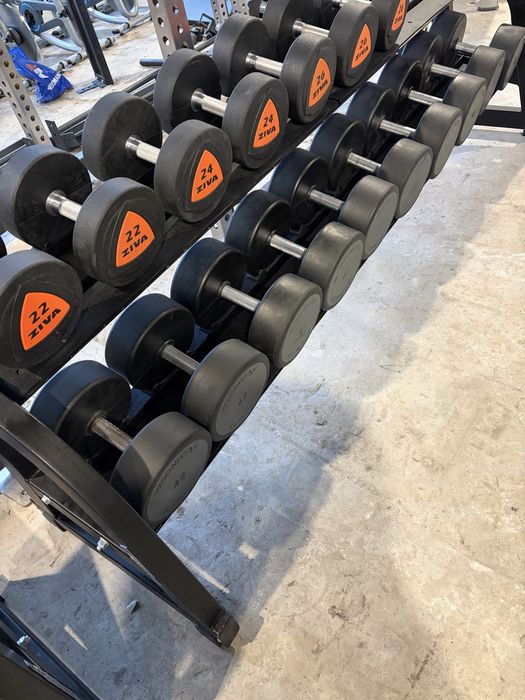 Set Gantere Ziva Technogym