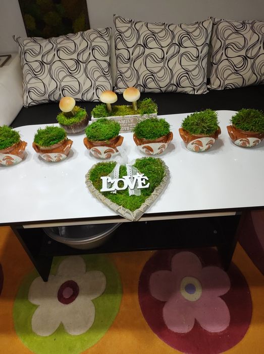 Фото картини и изделия стабилизира мъх