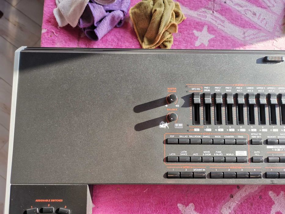 Estetizare, Igienizare Korg Pa