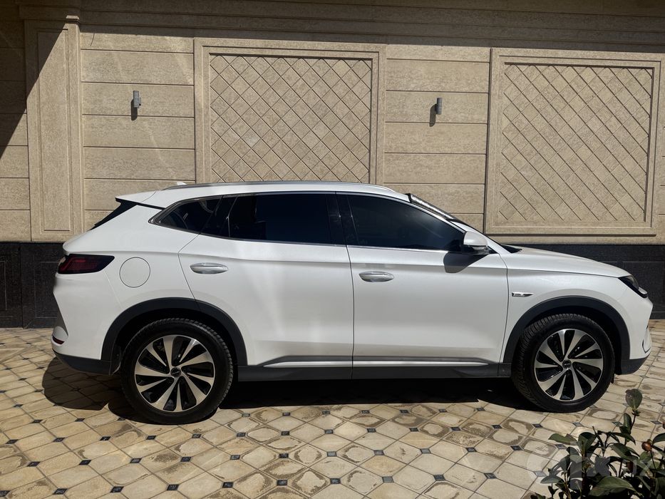BYD  Чимпон гибрит 2025 ел