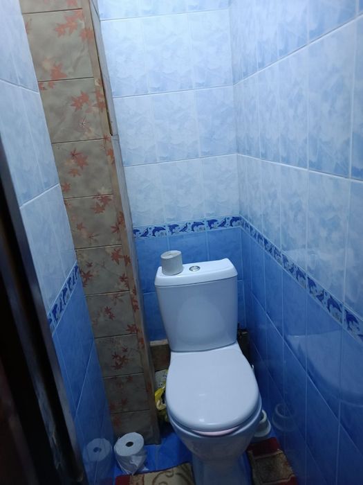 40-лет тузел-3 только семя 2/3/5/