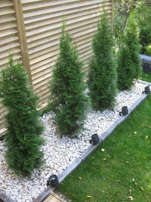 _Все услуги САДОВНИКА._ 1