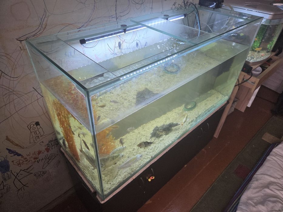Продам аквариум для рыб
