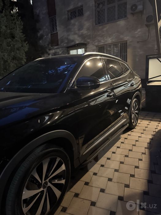 Byd chempion gibrid
