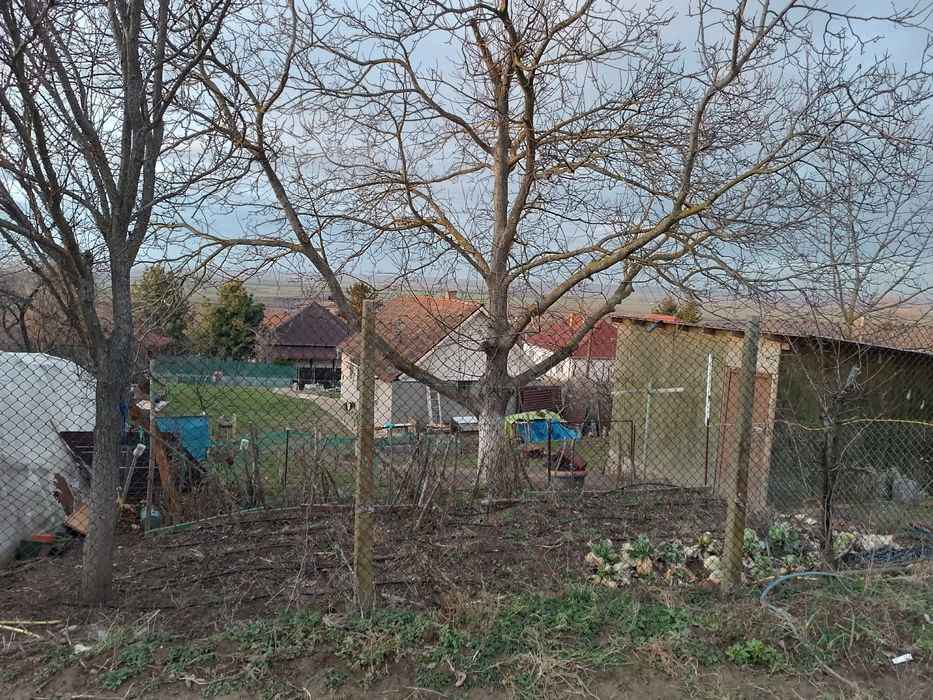 Casă și grădină în Sisterea