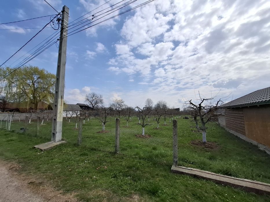 Teren Intravilan 2000 mp - Livadă de meri, Răucești