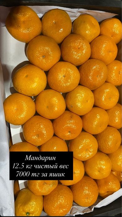 Алма Мандарин свежие