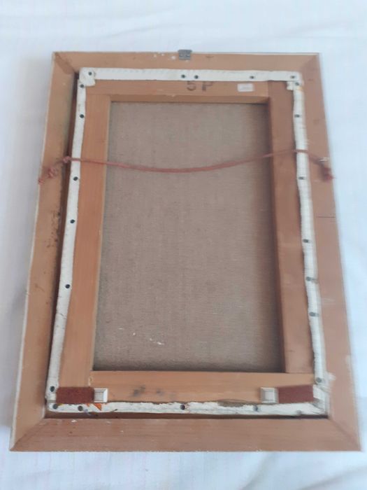 tablou pictura pe panza 30/41 cm semnat