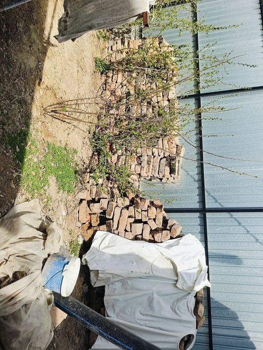 Кирпич красные СССР