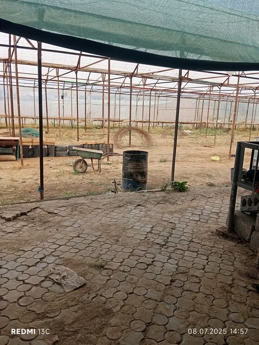 Парни продаются 16 суток