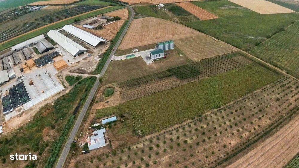 Livadă de 3,6 hectare în Iratoșu – Oportunitate