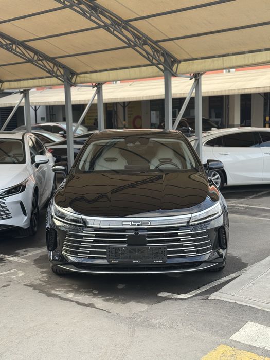 Byd chazor flagship 2024