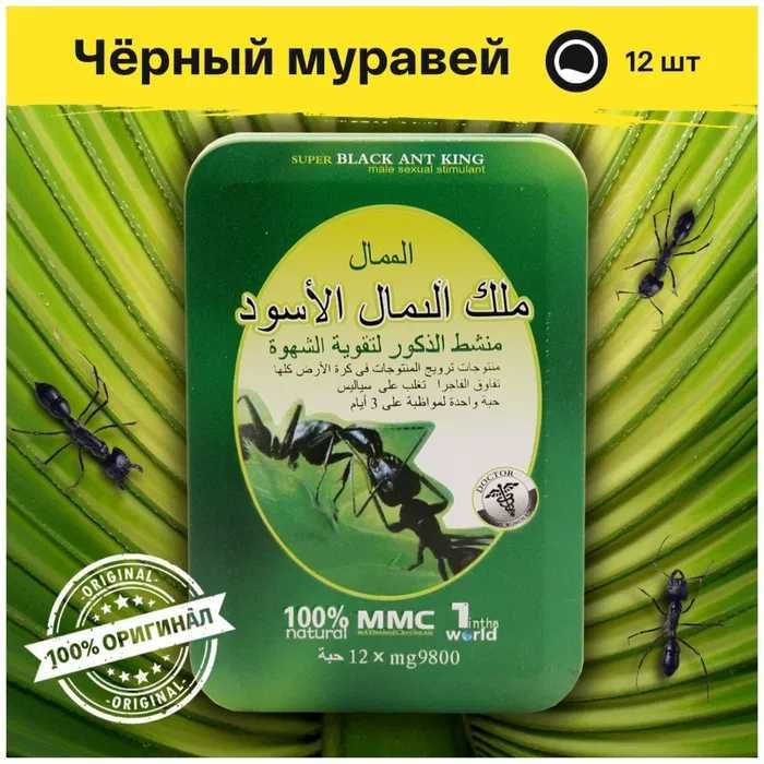 Королевский  муравей бад