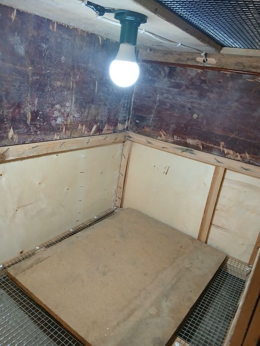 Брудер сатылады жаңа