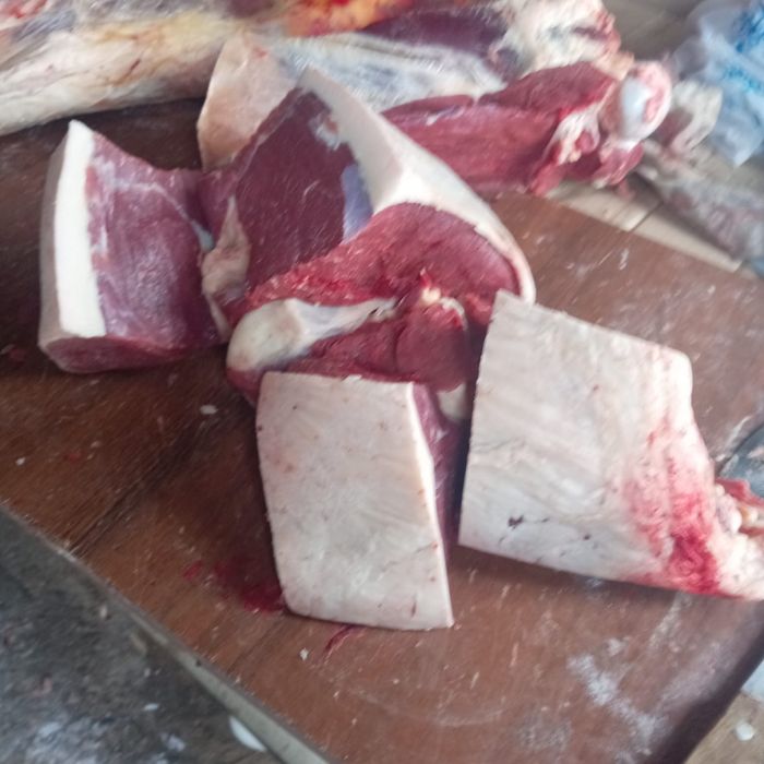 Продам мясо конина