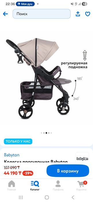 Коляска прогулочная Babyton