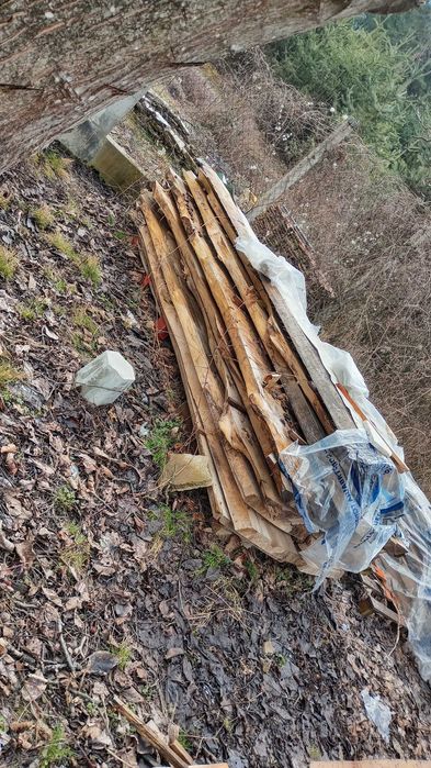 янове талпи орех