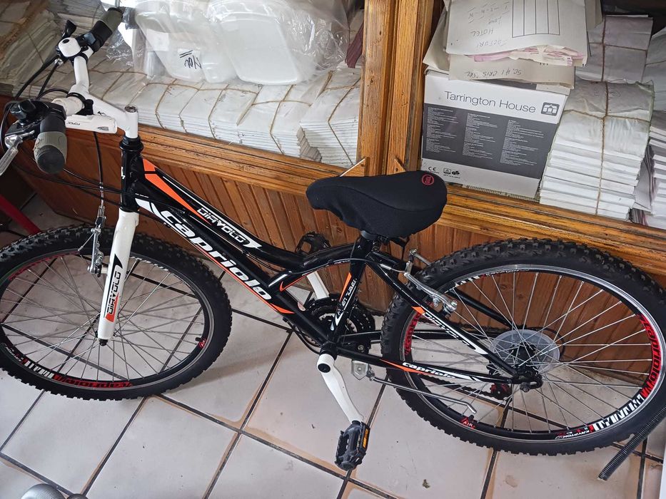 Vând bicicletă Mtb Capriolo roți 24