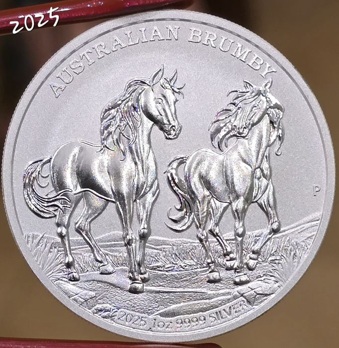 Brumby Bird of Paradise TOATA  monede argint lingou 999