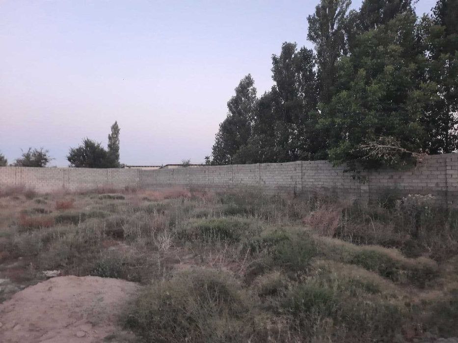 Жамбай в Промзоне в рядом Ташкентской трассы 2 Га