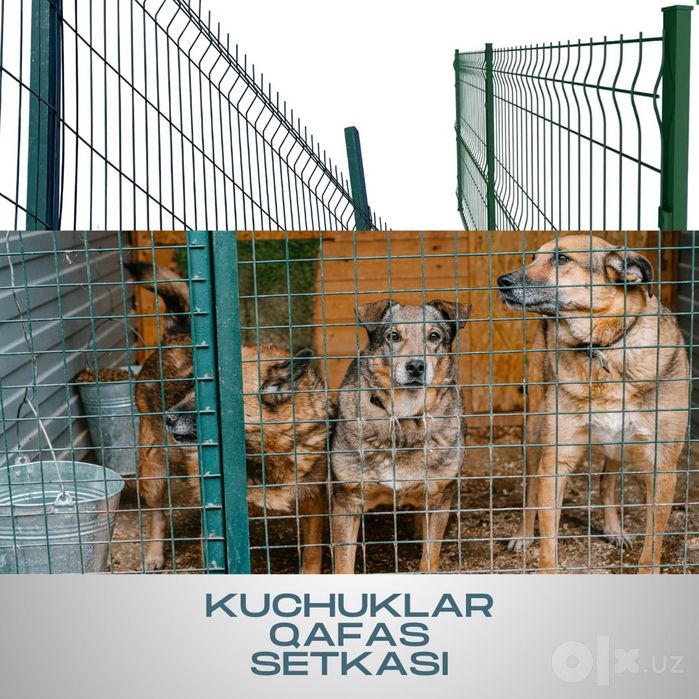 Qushlar uchun qush setka rulon setka yevrozabor evro zabor yevro setka