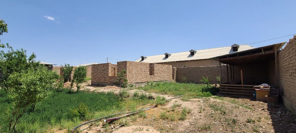 12 soʻtix uchastka sotiladi