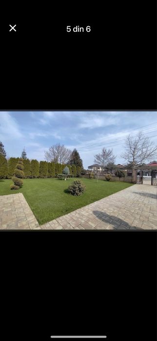 Gazon profesional rulou – soluția perfectă pentru o curte elegantă și îngrijită