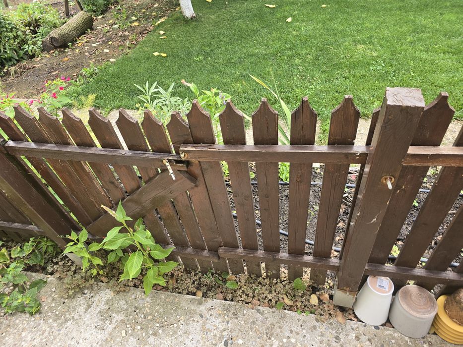 Vând gardut de 1 metru inaltime