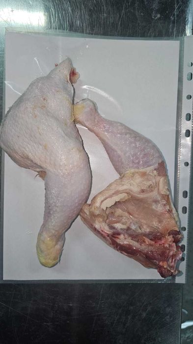 Курица оптом и в розницу | Global Halal Food