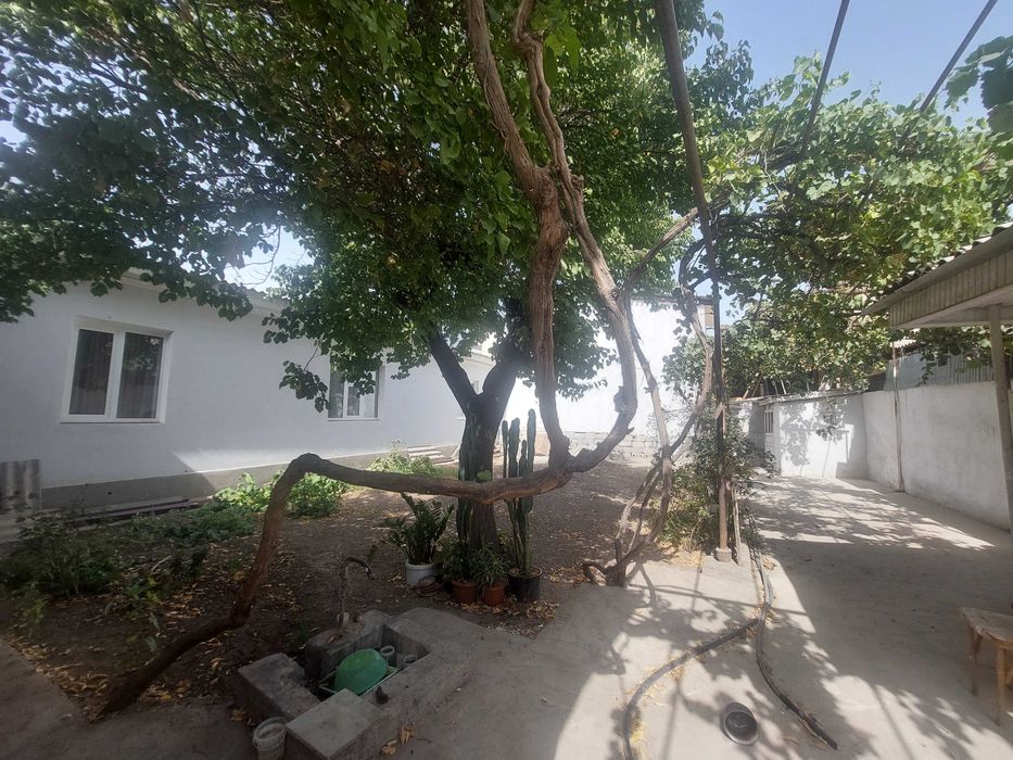 6 сотих 6 хона Текстил,15чи мактаб