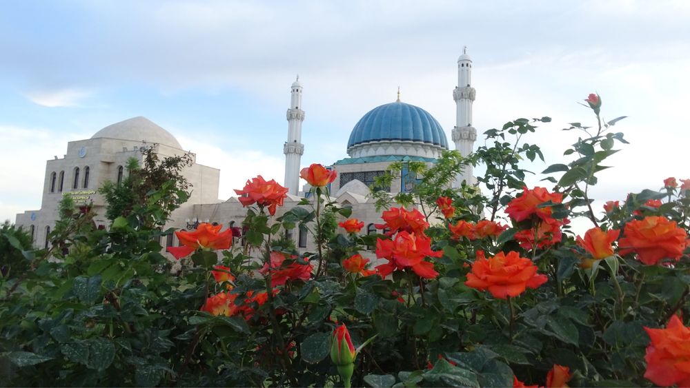 Фотоаппарат, Sony DSC-HX400