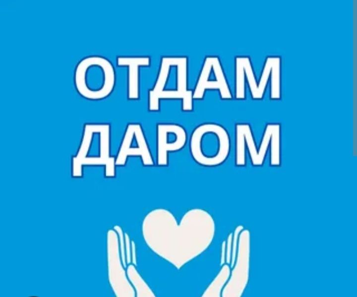 Вещи даром детские