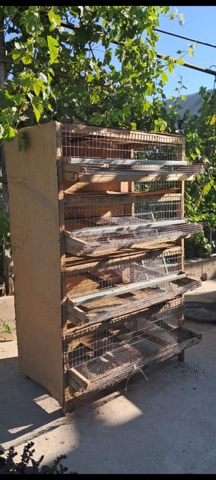 Клетка для бодене