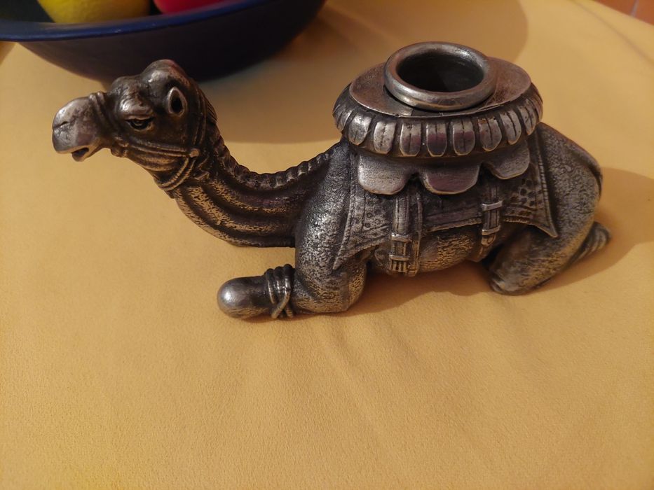 Свещеник камила,