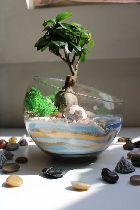 Флорариум с бонсай - подарък за рожден ден и др поводи
