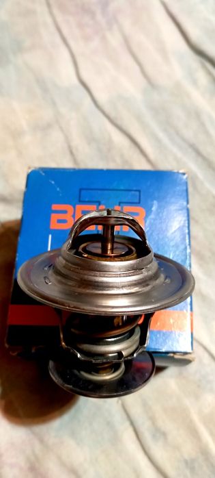 Термостат BEHR 1.173.87