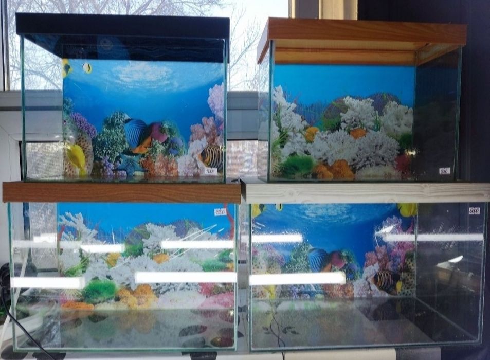 Аквариумы новые с крышками