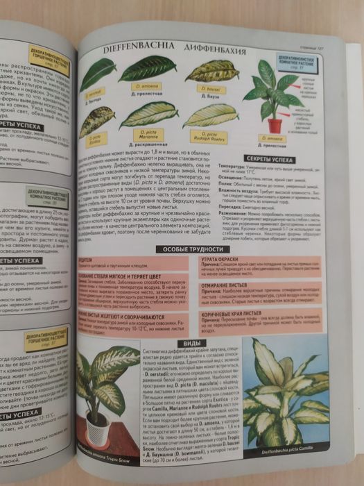 Книга "Всё о комнатных растениях"