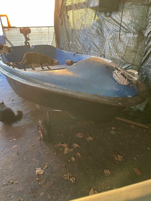 vand barca dubla,cu motor si carucior de manevra