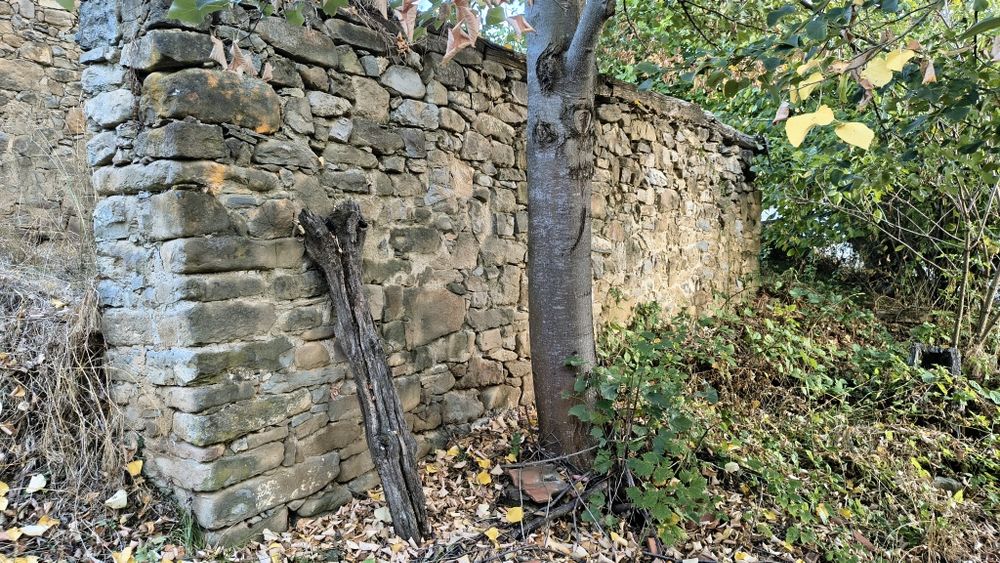 Дялан камък   в Троян община Ловеч