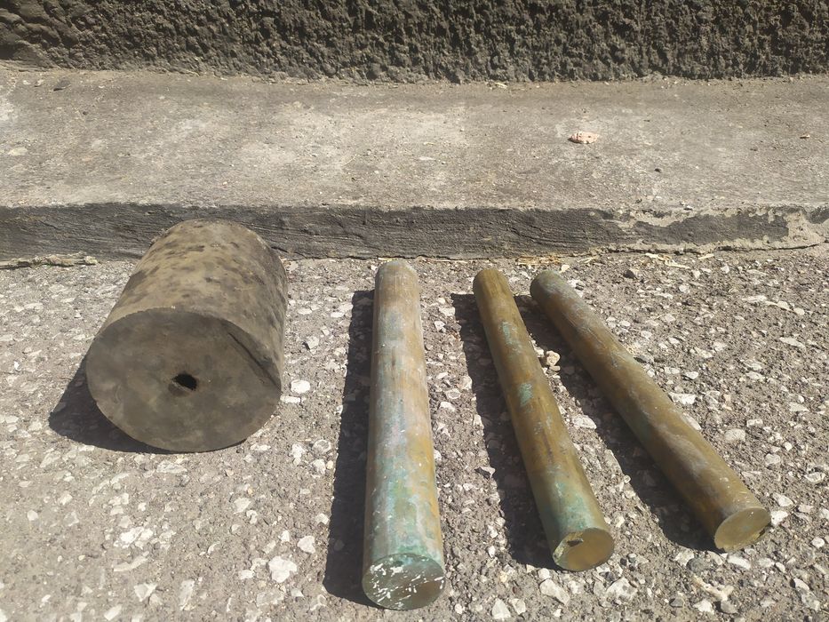 Кругляк бронзовый