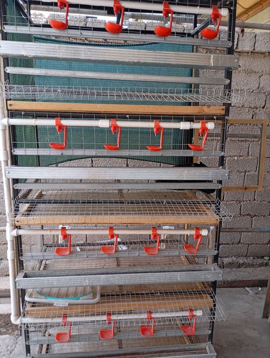 Tovuq qafas sotiladi 4 qavatlik